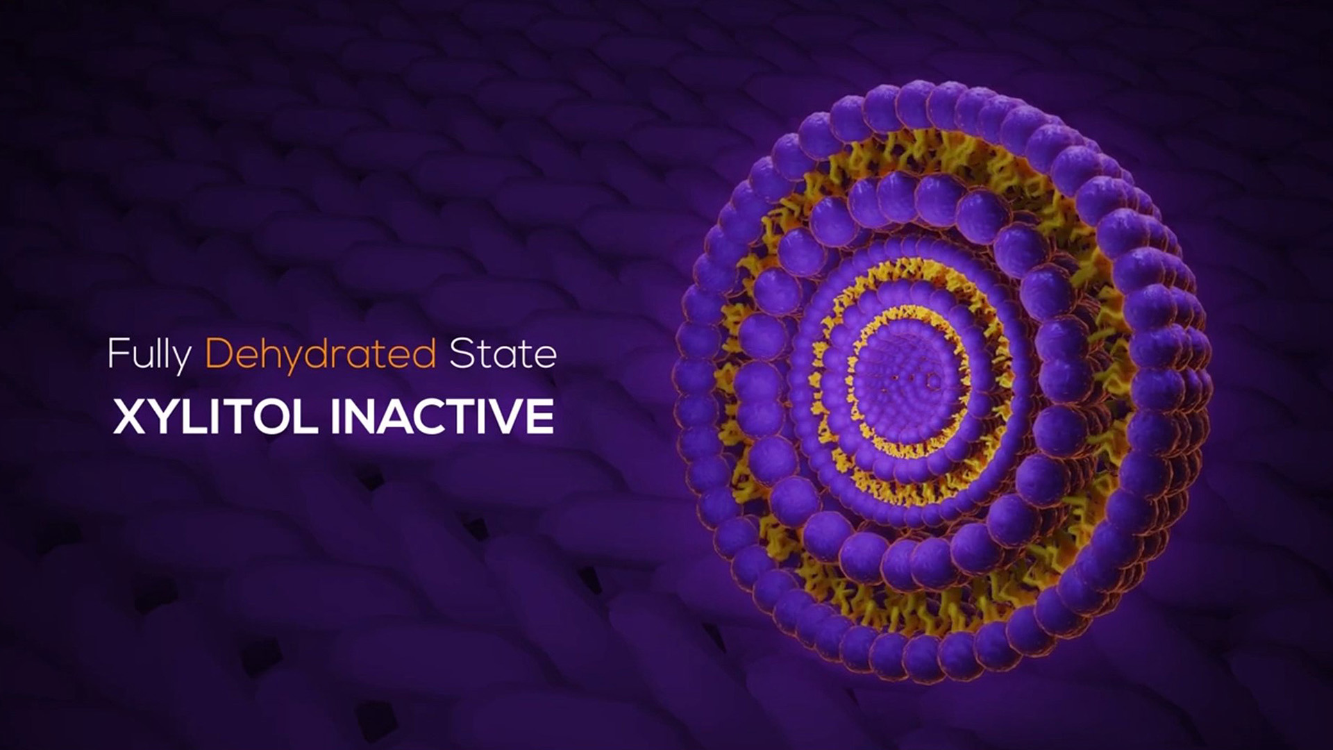 <span>3d | Motion Graphics | Video Editing</span>Micro Vesicle